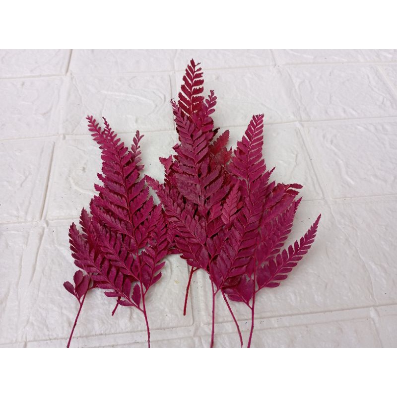 DAUN PAKIS KERING / PRESSED LEATHER LEAVES WARNA Pink Hijau Ungu