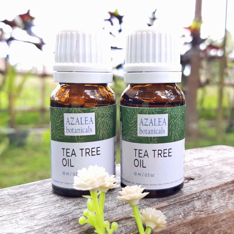 Tea Tree Oil  (TTO) | AZBO PREMIUM OIL