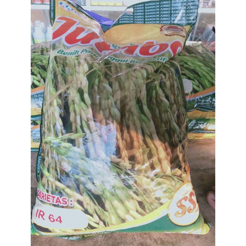 benih padi ir 64 bangkok jumbo