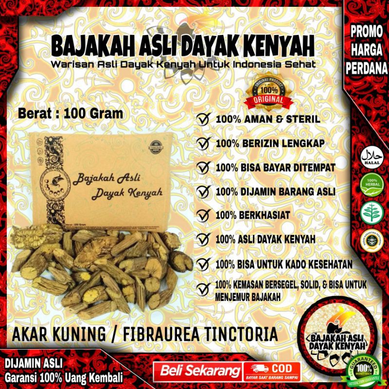 

BAJAKAH AKAR KUNING 100 Gr - FIBRAUREA TINCTORIA - BAJAKAH ASLI DAYAK KENYAH