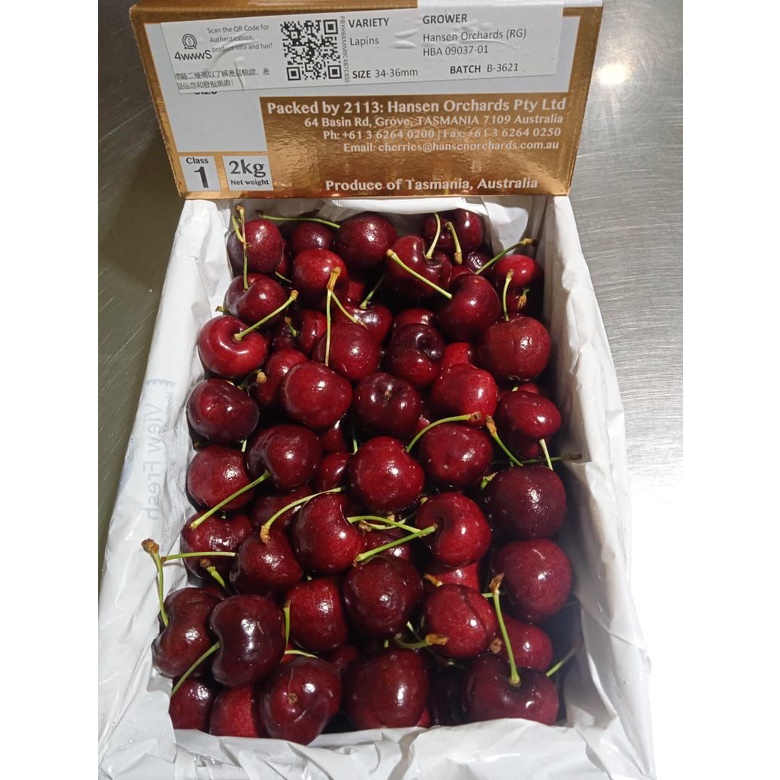 Buah CHERRY USA / CANADA / AUSI / TASMANIA / 500 GRAM
