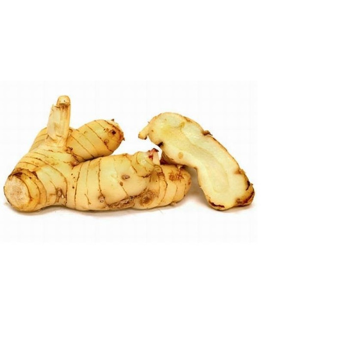 

New Laos Lengkuas Seger Rempah-Rempah Bumbu Dapur 100gr