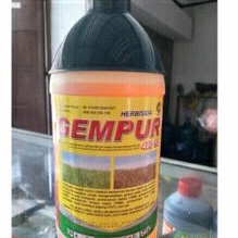 GEMPUR OBAT PEMBASMI RUMPUT LIAR/ GEMPUR 480SL  1 LITER HERBISIDA PEMBASMI RUMPUT LIAR