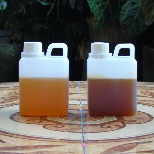 

FRESH Madu Mentah Raw Honey & Super Pollen