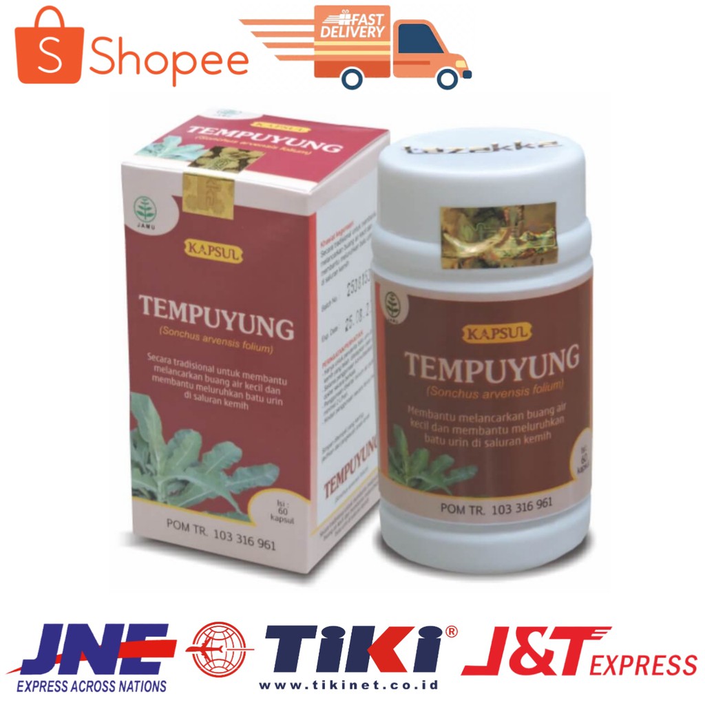 

Tempuyung Tazakka 60kps