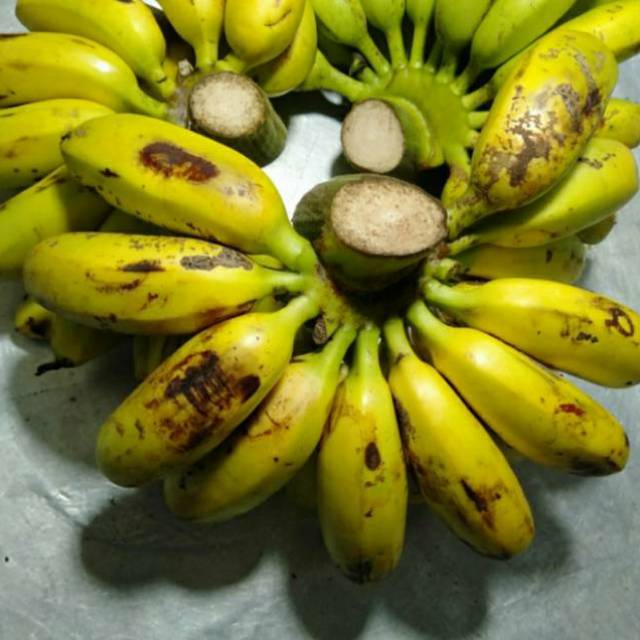 

Pisang Lampung