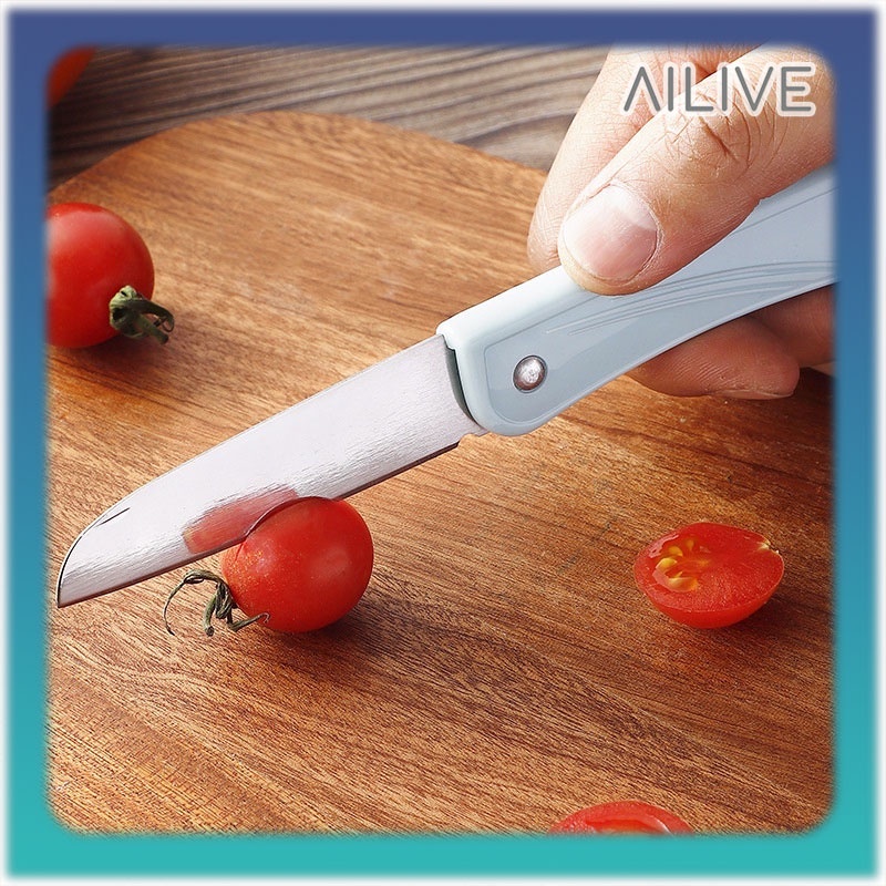 Pisau Lipat Mini Stainless Steel Pisau Buah Sayur Pisau Pemotong Pengupas Buah / Portable Mini Knife