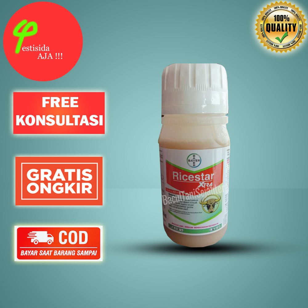 RICESTAR BANTENG 100 ML HERBISIDA Selektif Obat Pembasmi Rumput