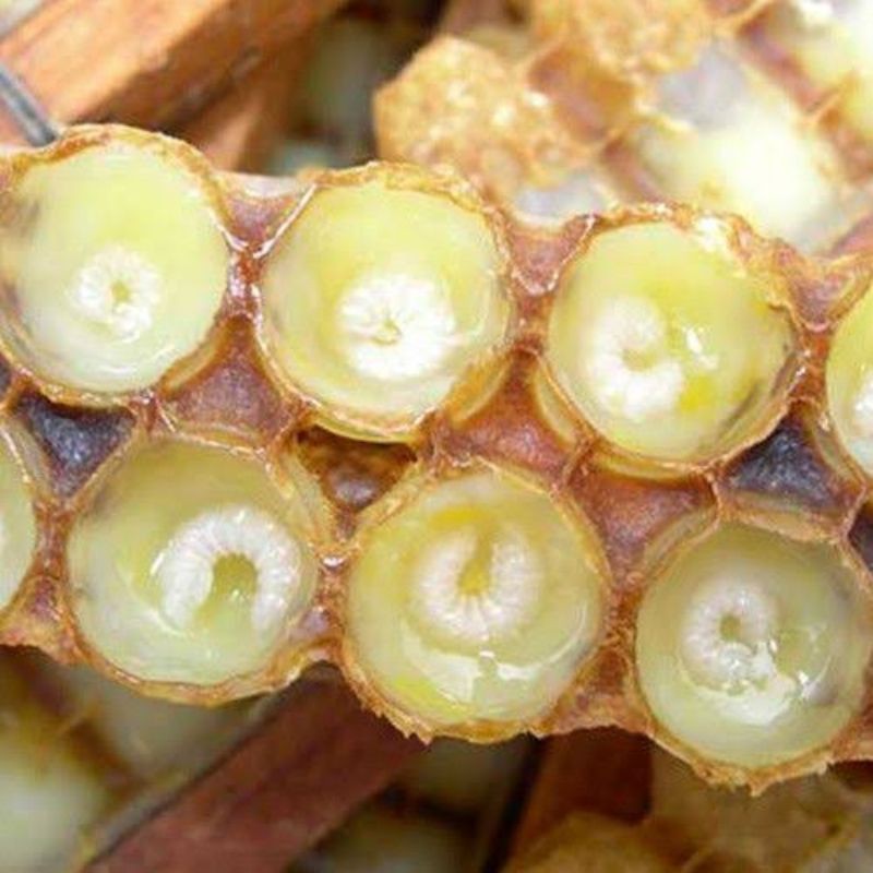 

royal jelly