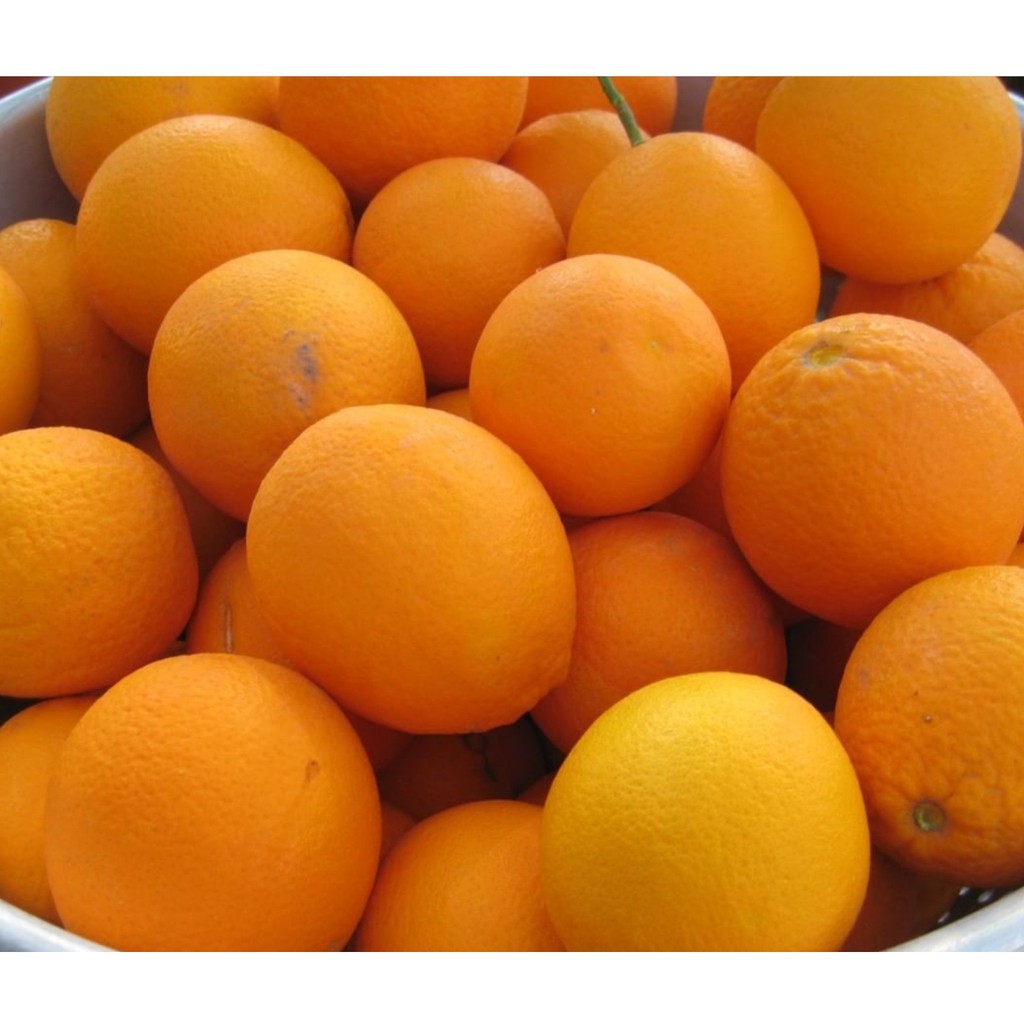 Jeruk Sunkist Valencia Import I Valencia Oranges