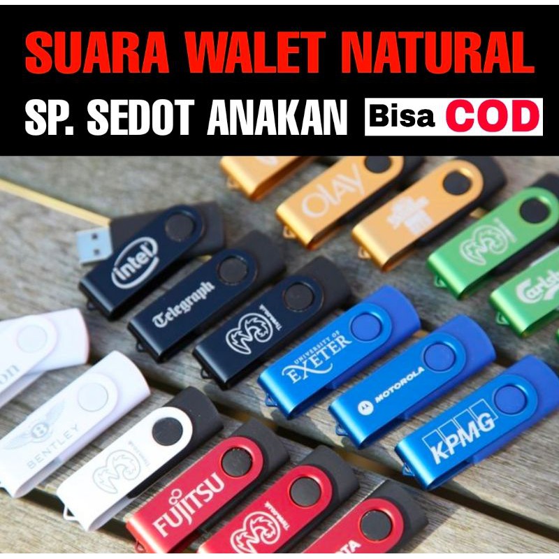 SUARA WALET, SP. SEDOT ANAKAN (MUSIM ANAKAN)