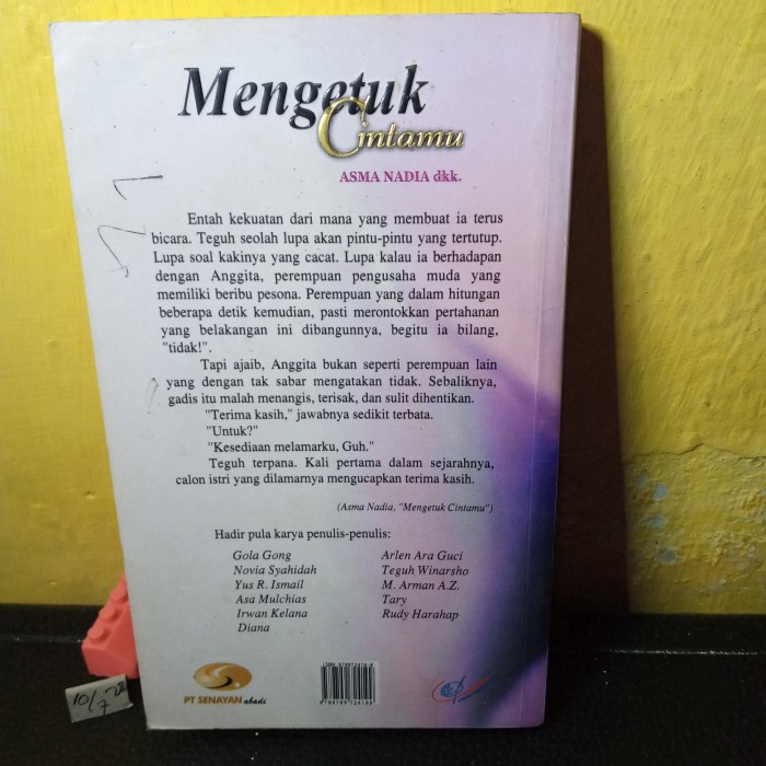 novel seri fiksi mengetuk cintamu 166 hal