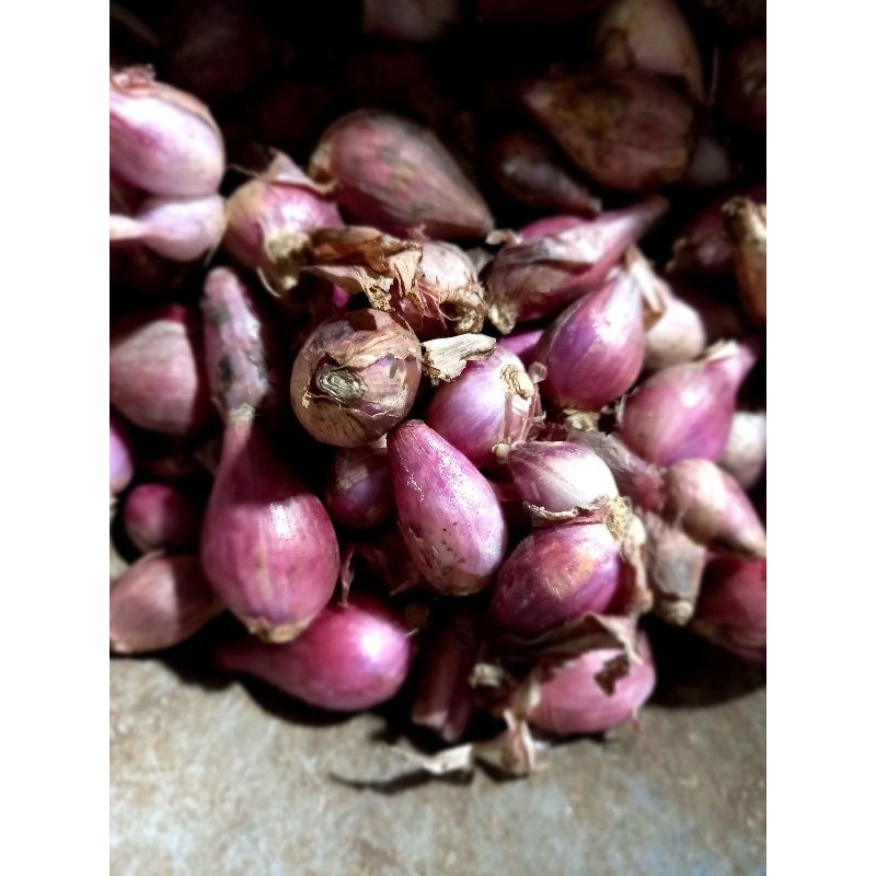 

bawang merah brebes asli...250g