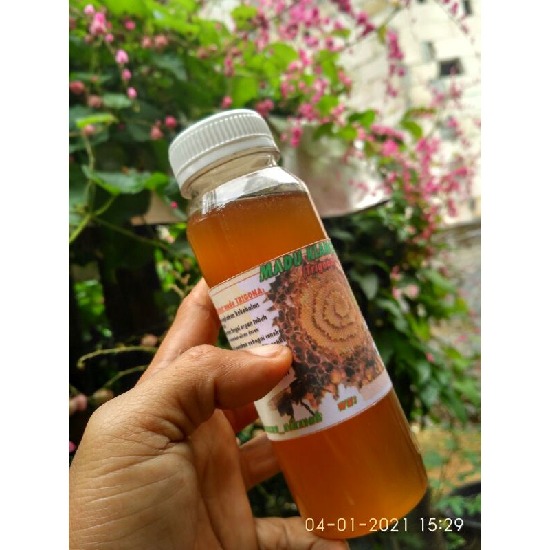 

Madu murni klanceng trigona itama 250ml