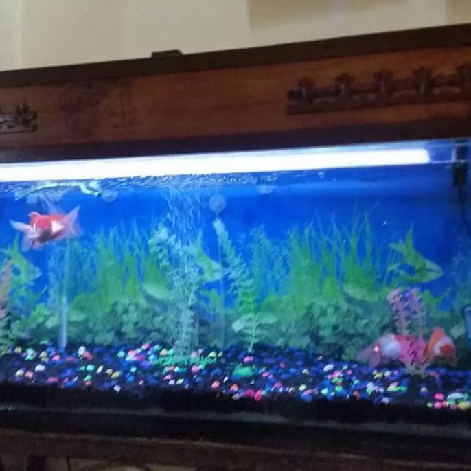 dijual tutup Aquarium 100x40 unggulan