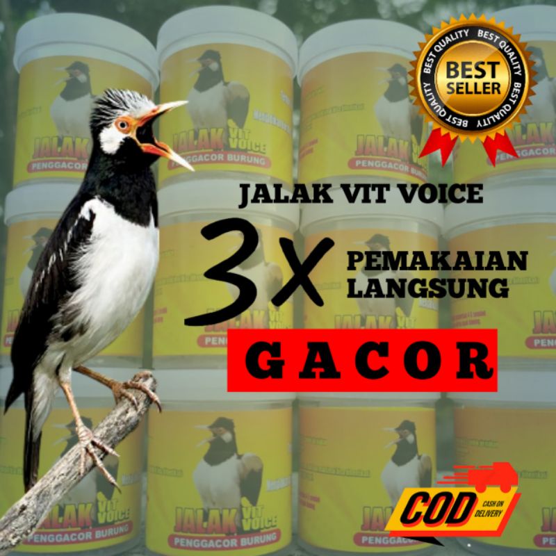 VITAMIN JALAK SUREN,PUTIH,KEBO TERBUKTI AMPUH GACOR BONGKAR ISIAN TERLARIS MURAH II DOPING JAMU SETI