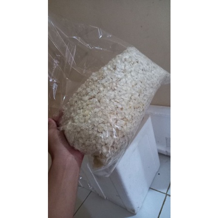 

Nafariz724 Sisik Ikan Red Snapper / Kakap Merah 500 Gr