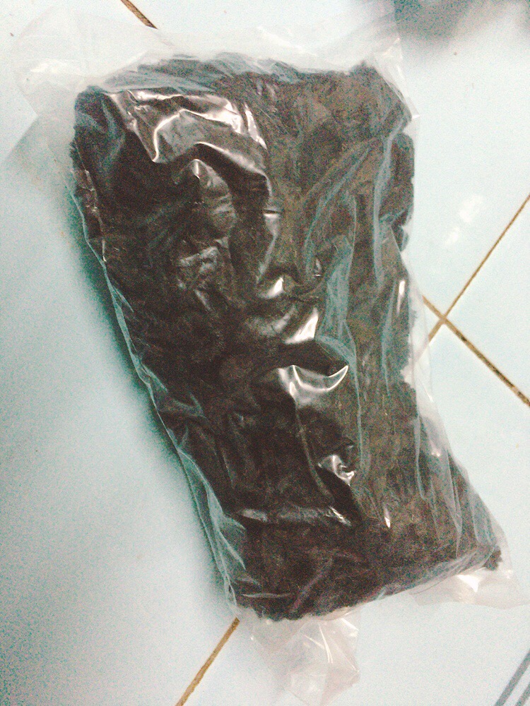Ikat Rambut Ubur Ubur Besar Warna Warni Shopee Indonesia Ikat Rambut Ubur Ubur Besar Warna Warni Shopee Indonesia