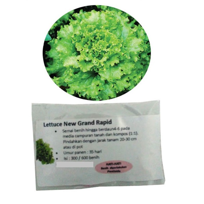 Lettuce New Grand Rapid 300 Benih