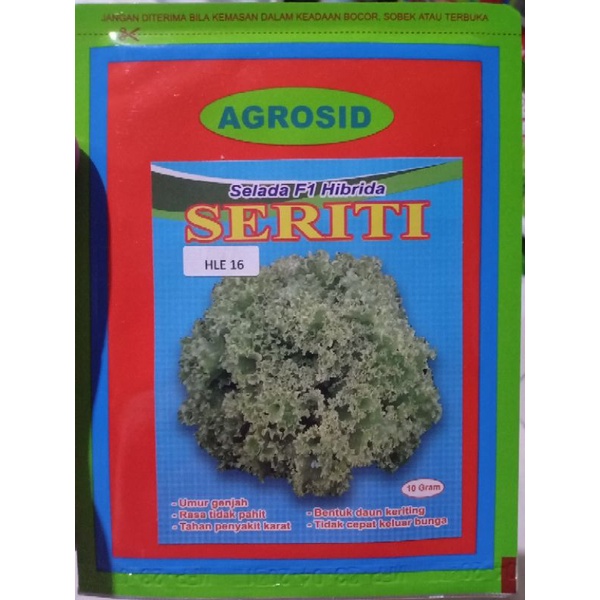 Benih Selada SERITI F1 isi 10gr Bibit Hibrida Agrosid