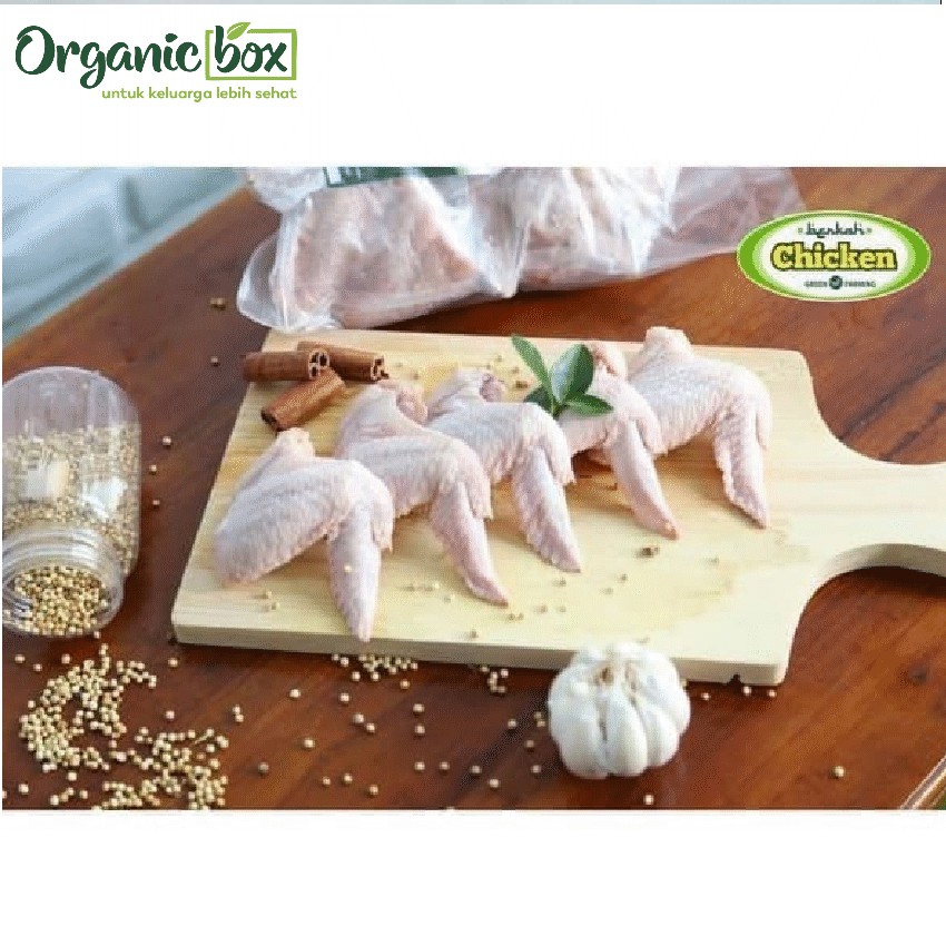 

AYAM BERKAH SAYAP (W)