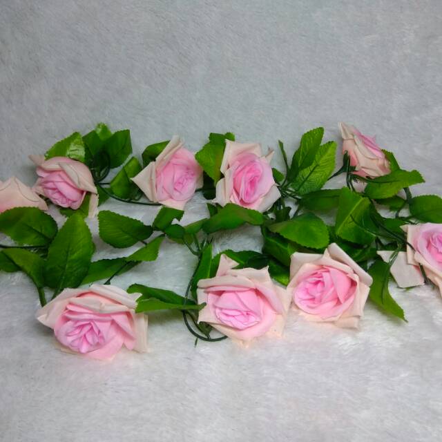 Mawar sulur/mawar rambat/bunga rambat/mawar jalar