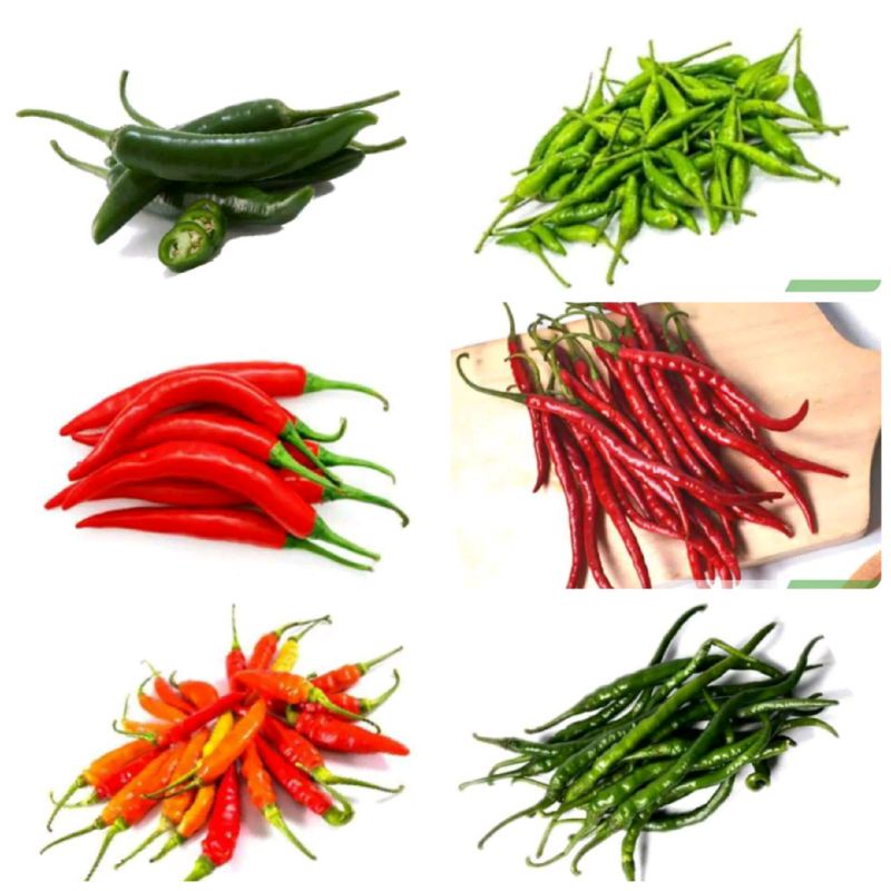

aneka cabe segar 100gram - cabe merah keriting - cabe hijau keriting - cabe rawit hijau - cabe setan