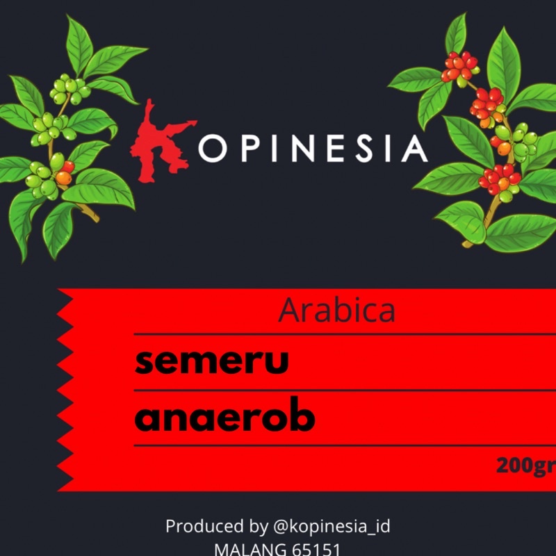 

ARABIKA SEMERU 200gr