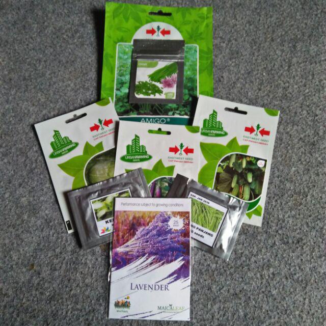 Benih Kemangi Pack 800 Biji - Gp