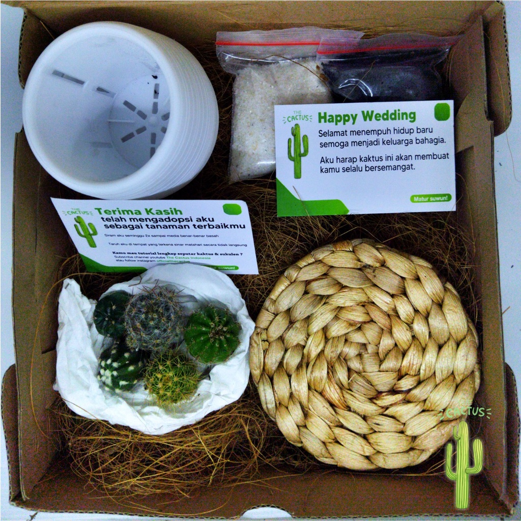 

Hampers Kado Kaktus Mini Lucu Paket Gift Set Ulang Tahun Cowok Cewek