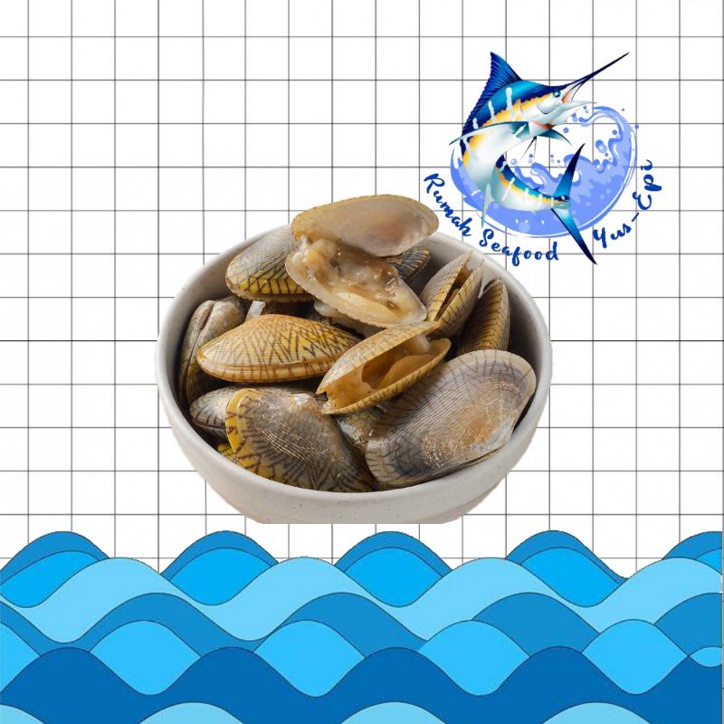 

Kerang Batik - rumahseafoodyusepi