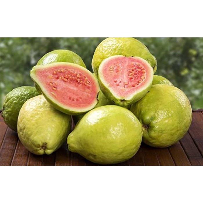 

Jambu biji merah / jambu merah Fresh / jambu merah super