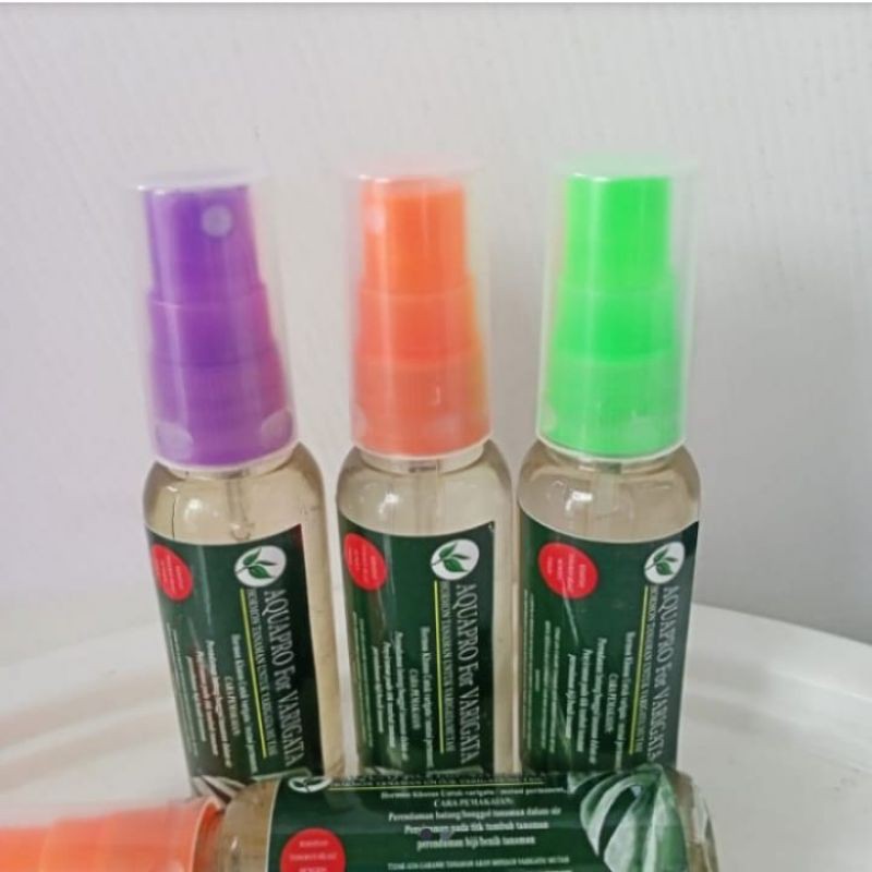 Aquapro for varigata spray 30ml, hormon untuk tanaman varigata