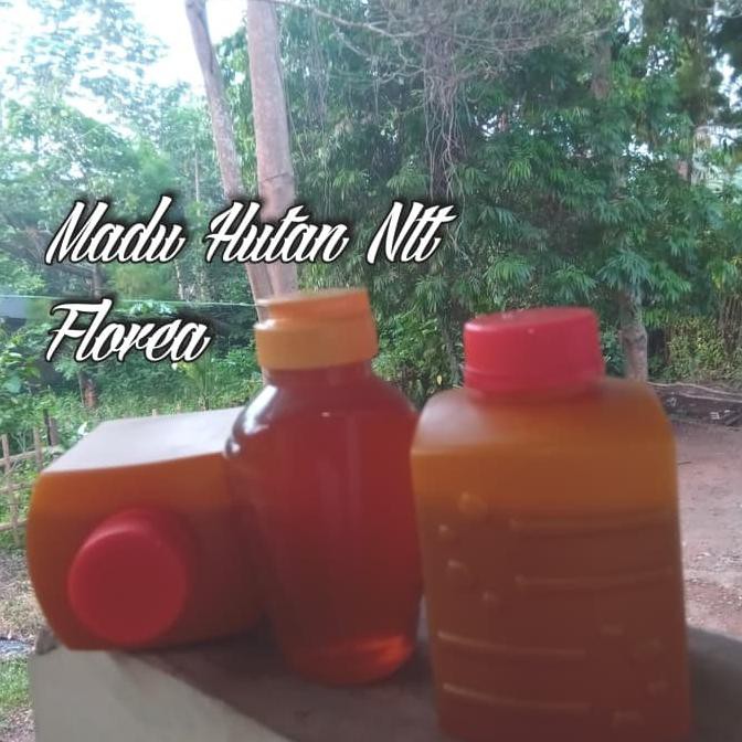 

Madu Hutan Ntt Flores Isi Bersih 500g