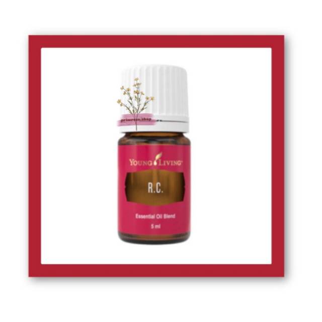 Jual RC Essential Oil Young Living Aromatherapy 5ml Shopee Indonesia