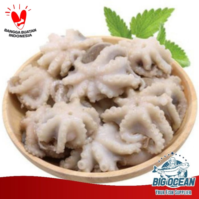 

Baby Octopus Mentah @1kg
