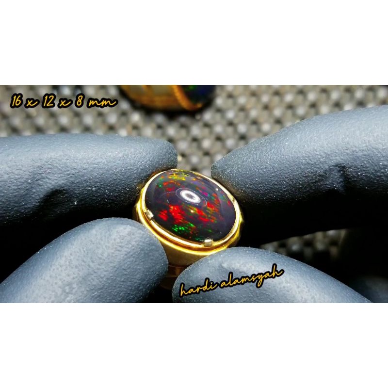 BLACK OPAL SOLID BANTEN JARONG SUPER LANGKAH