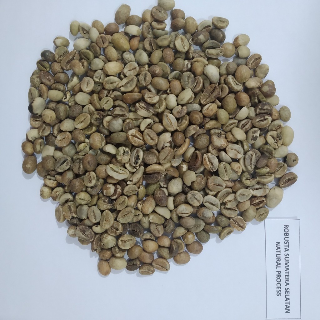 

1kg - KOPI ROBUSTA LAMPUNG/SUMATERA SELATAN G4 C/80 (GREEN BEAN ) - NATURAL PROCESS