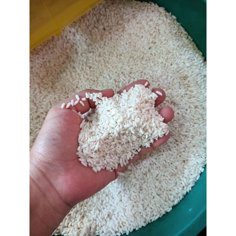 Beras Ketan Putih (500g) Beras Ketan Import - Beras Ketan Lokal - Beras Ketan Thailand - Beras Pulut