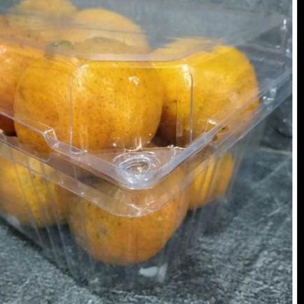 ♫ Kotak Mika Buah 1 Kg MB800 25 pc Anggur Jeruk Jambu ✈