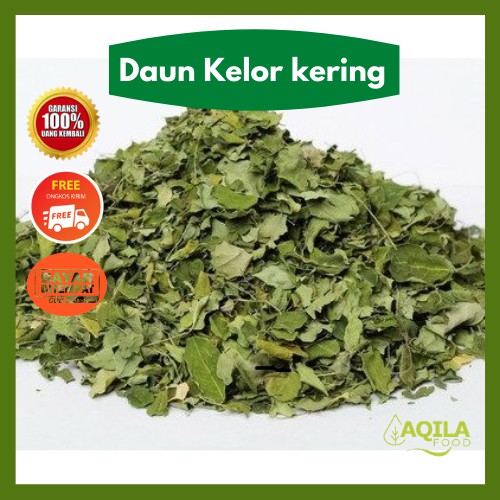 

Teh Daun Kelor Kering Atasi Rematik Pegal Linu Kolesterol Sakit Jantung