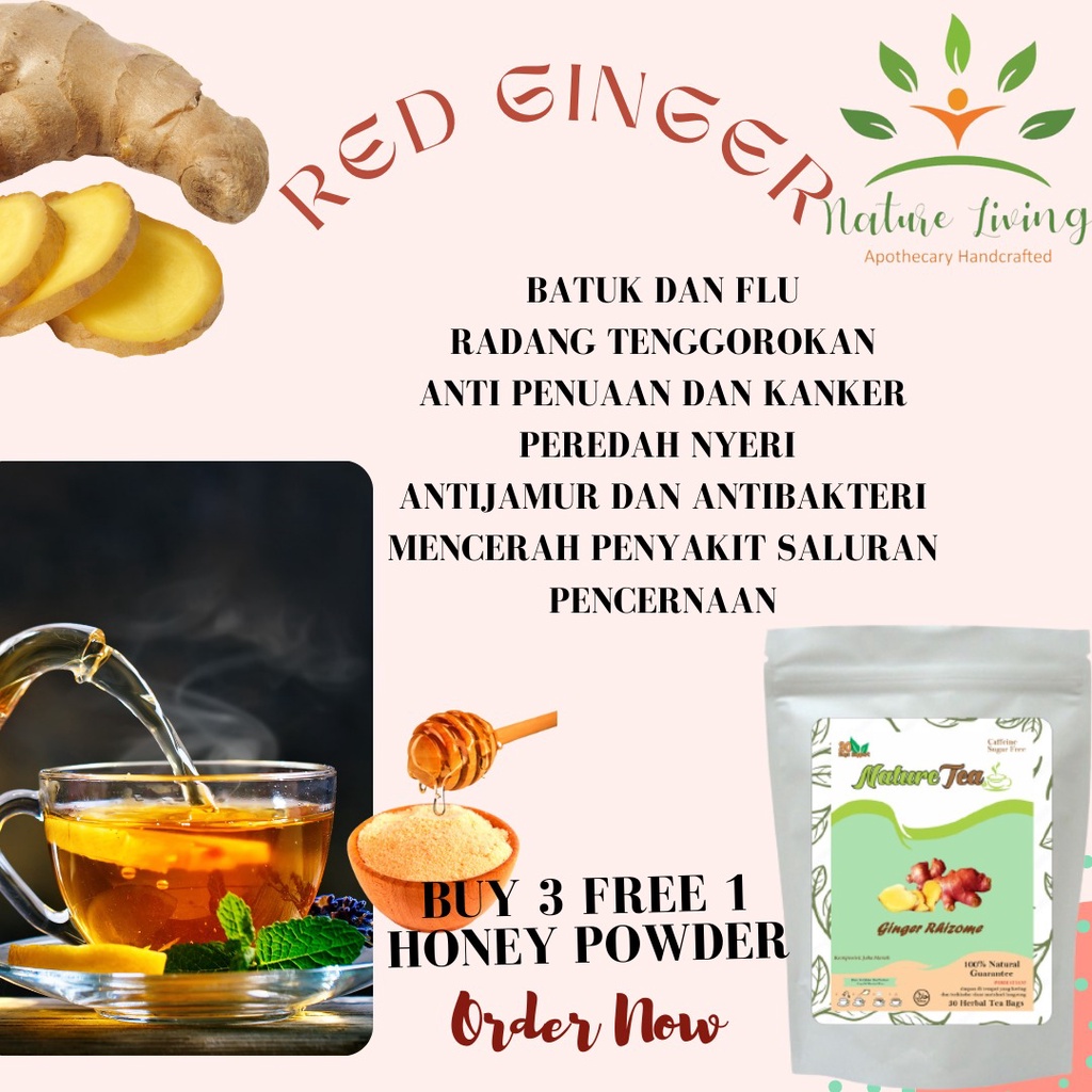 

Premium Teh Celup Jahe Merah (Red GingerHerbal Tea) isi 30 tea bag (kantong teh) - Nature Tea by Nature Living