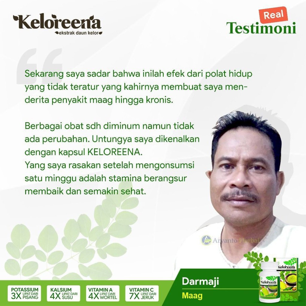 BPOM Daun Kelor Kapsul 100% Asli Ekstrak Moringa Oleifera Isi 100 Kapsul Keloreena Original