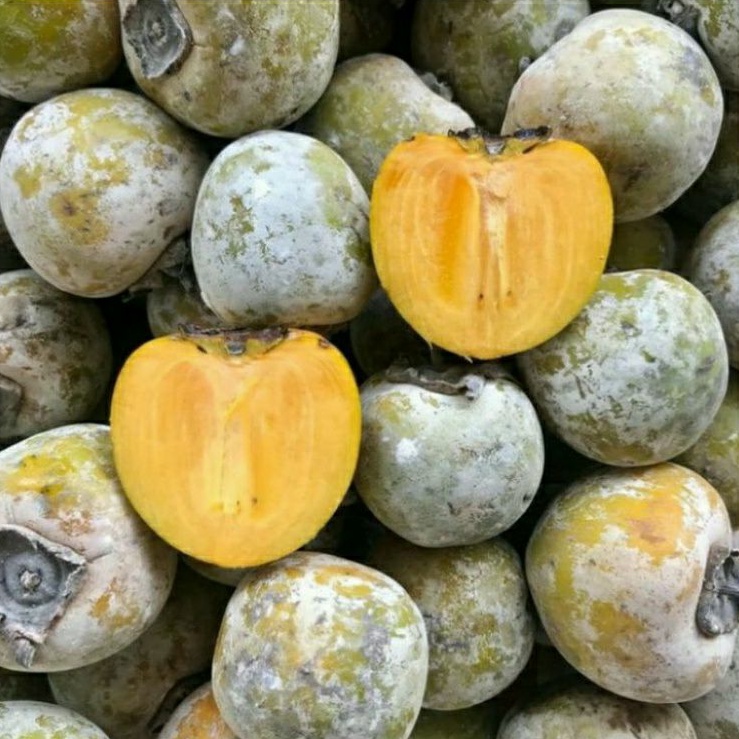 

Buah Persimon Lokal/Kesemek Fresh / 1kg