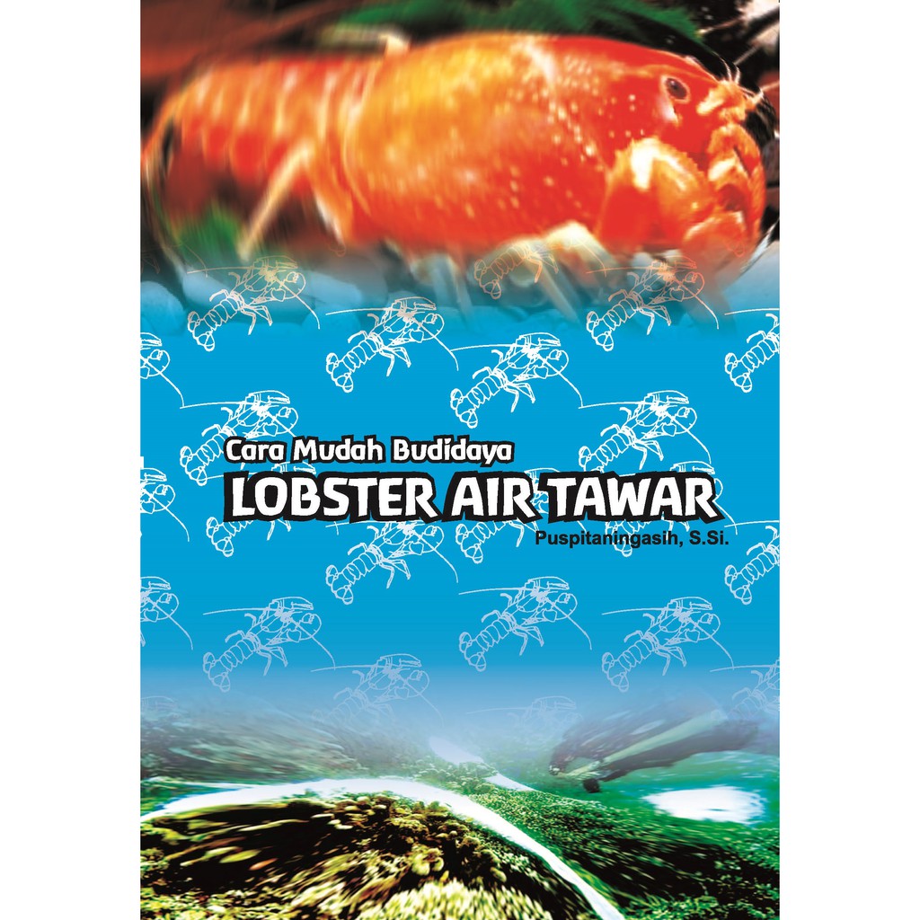 Cara Mudah Budidaya Lobster Air Tawar