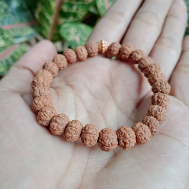 Gelang Rudraksha (Genitri) Mukhi 6