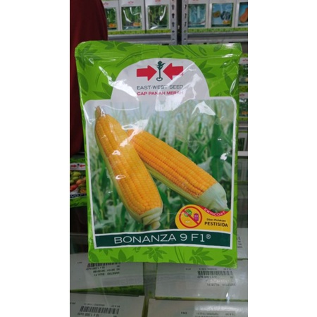 BENIH BIBIT JAGUNG MANIS BONANZA 9 F11800 butir  , umur panen 70 - 85 hst , hasil panen 14 - 18 ton/