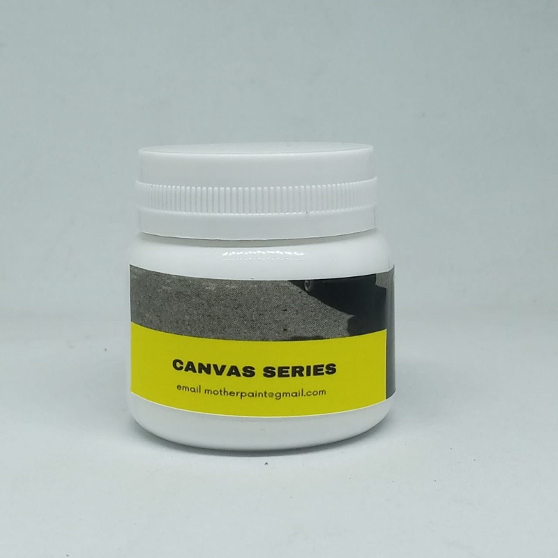 cat sepatu canvas pro putih