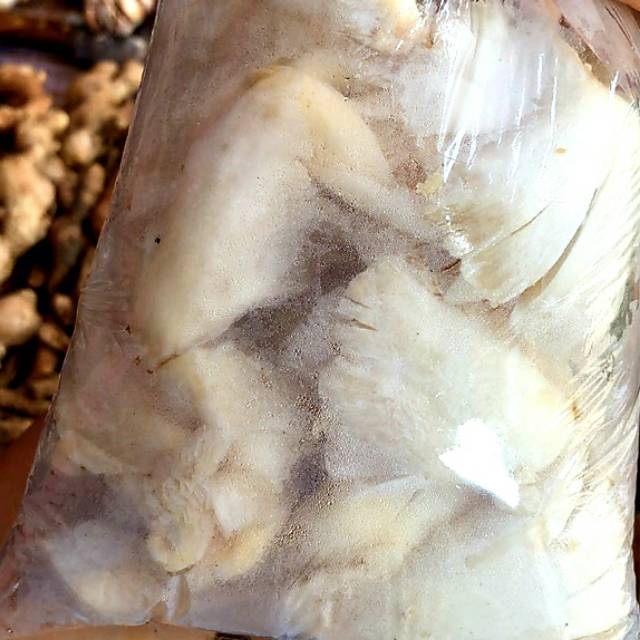 

Jamur Tiram Putih 250 gram