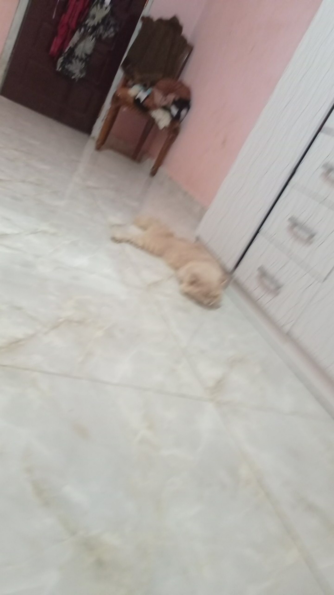 Kemeja Batik Pria Lengan Panjang Akar Coklat Akar Abu Seragam Kantor Terbaru Bisa Cod